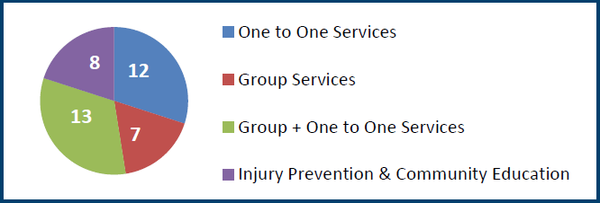 Brain Injury Programs and Services Funded 2018-2019 Chart