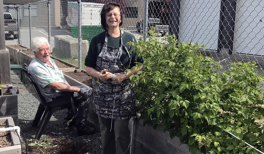 Powell River Brain Injury Society Garden During Covid-19 2