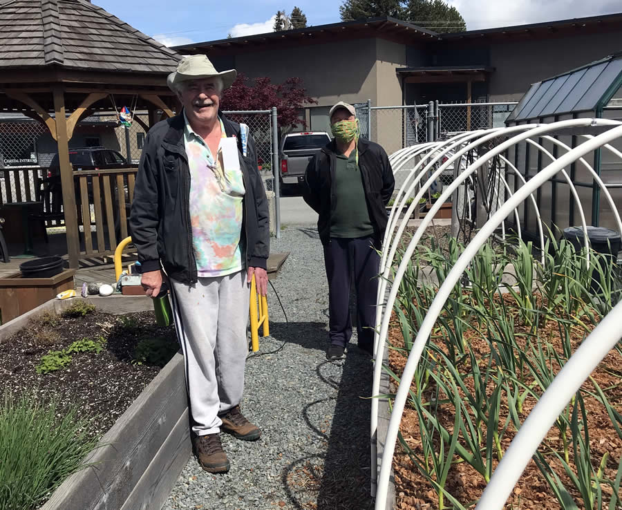 Powell River Brain Injury Society Garden During Covid-19